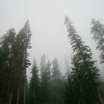 darian-garcia-PZooWoN2z5Y-unsplash Canadian Natural Gas, ESG, Environmental Responsibility, Sustainability, Blue Hydrogen, Eco-Products, New Energy Future, Energy Transition