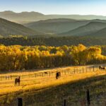 tim-peterson-Az8P8lOcgPA-unsplash